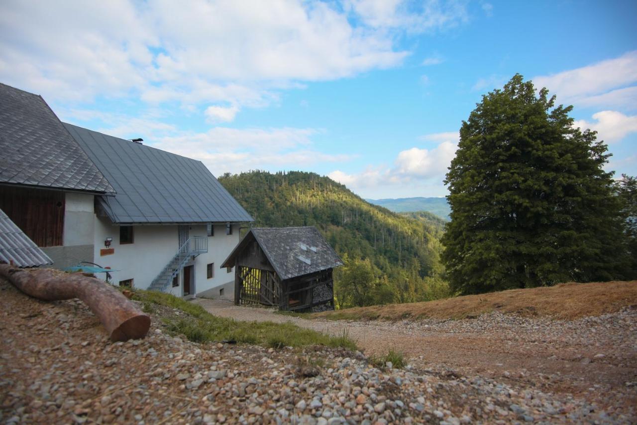 Apartma Gorski Razgled Srednja Vas v Bohinju Kültér fotó