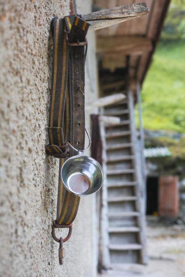 Apartma Gorski Razgled Srednja Vas v Bohinju Kültér fotó