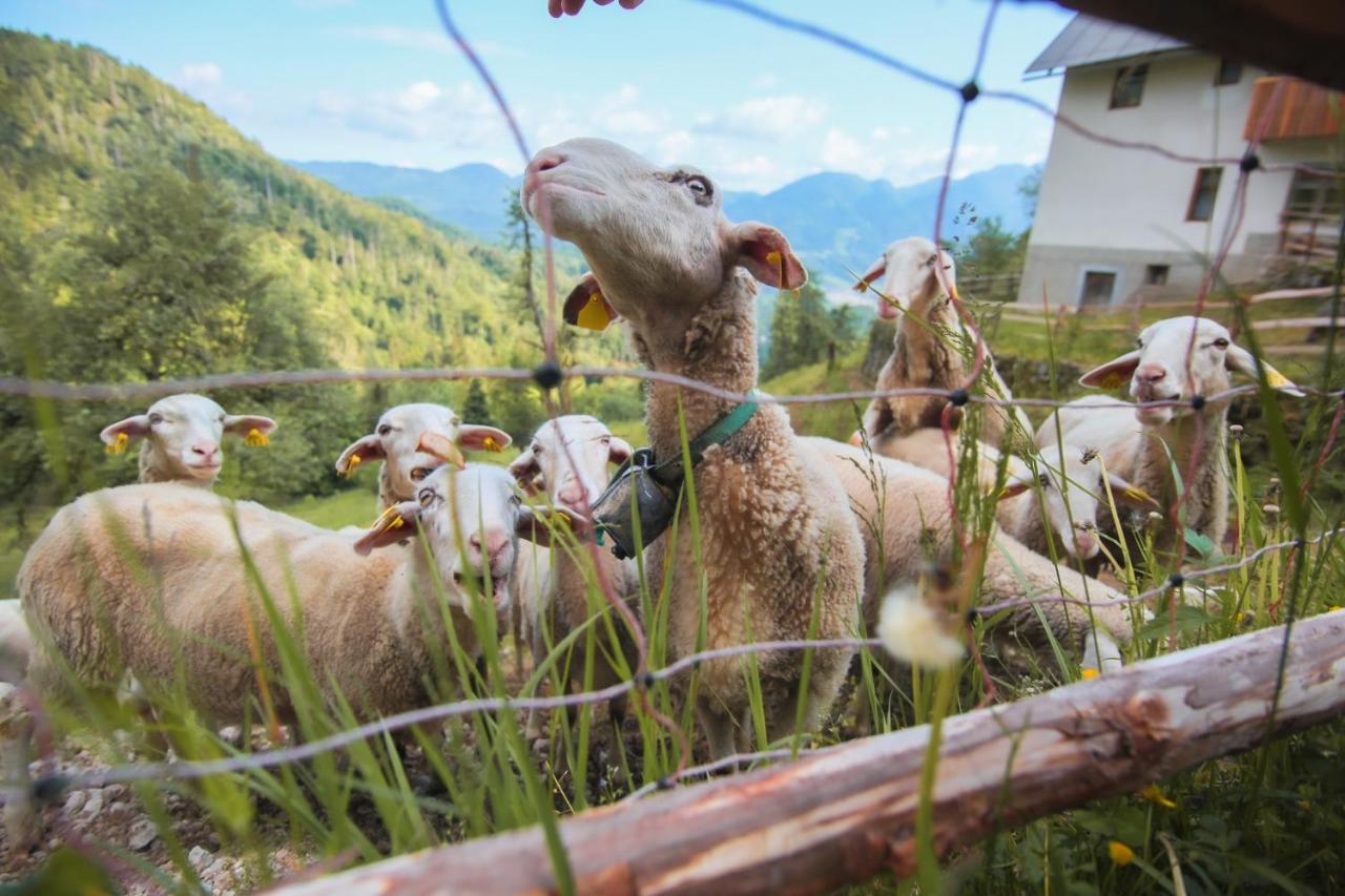 Apartma Gorski Razgled Srednja Vas v Bohinju Kültér fotó