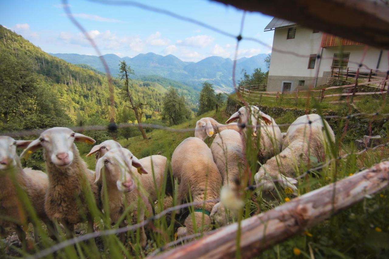Apartma Gorski Razgled Srednja Vas v Bohinju Kültér fotó