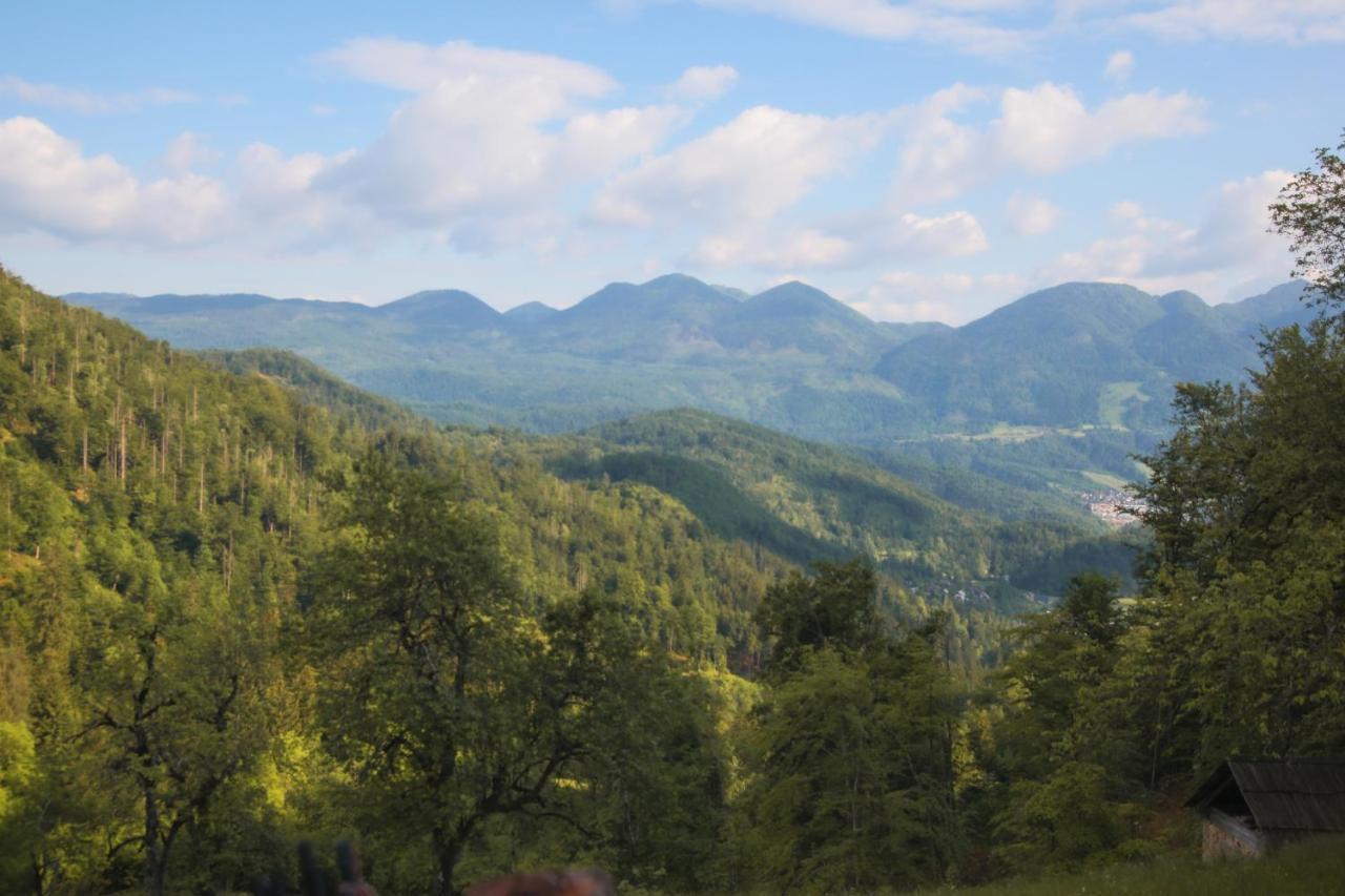 Apartma Gorski Razgled Srednja Vas v Bohinju Kültér fotó
