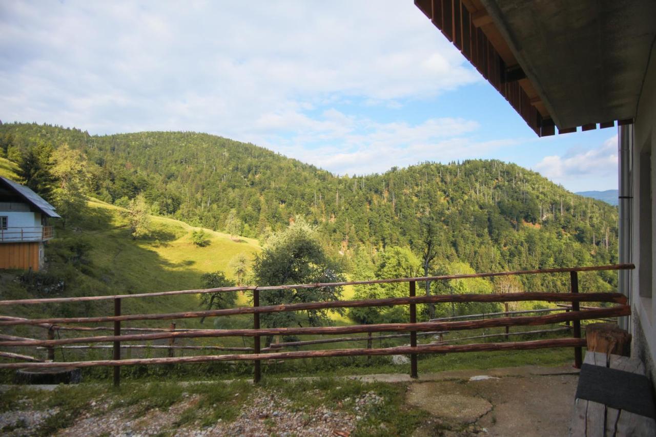 Apartma Gorski Razgled Srednja Vas v Bohinju Kültér fotó